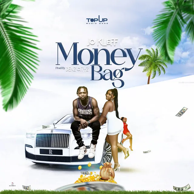 Money Bag