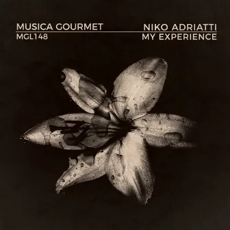 My Experience by Niko Adriatti