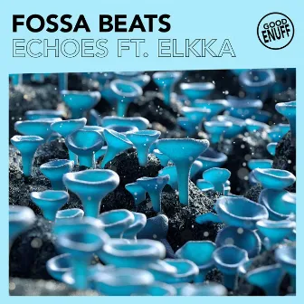 Echoes (feat. Elkka) by Fossa Beats