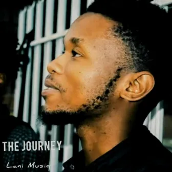 The Journey by Lani Musiq