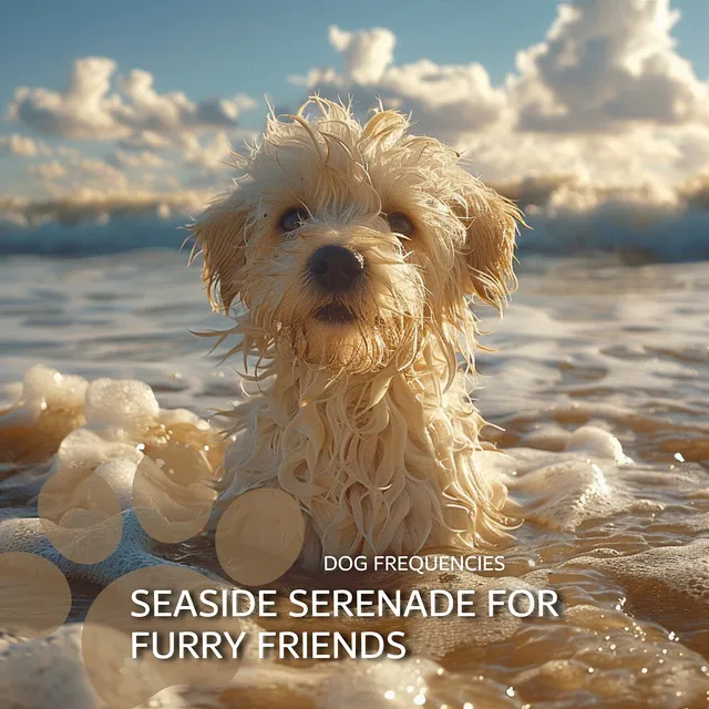 417 Hz Oceanic Flute: Seaside Serenade for Furry Friends