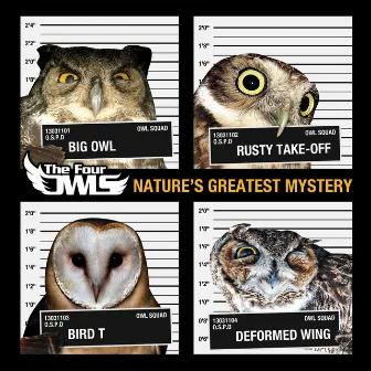 Nature's Greatest Mystery by The Four Owls