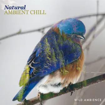 Natural Ambient Chill by Wild Ambience