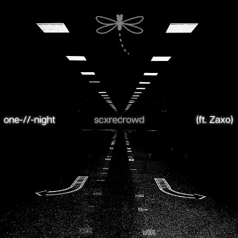 one-//-night by scxrecrowd