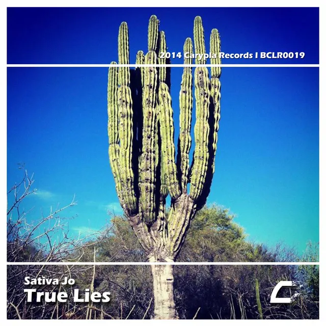 True Lies - Original Mix