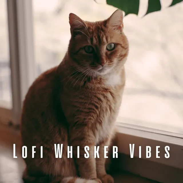 Lofi Final Whisker