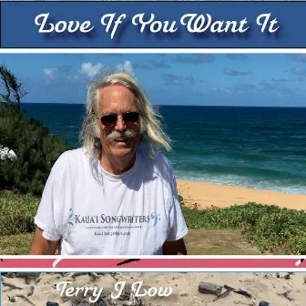 Love If You Want It by Terry J Low