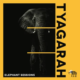 Tyagarah by Elephant Sessions