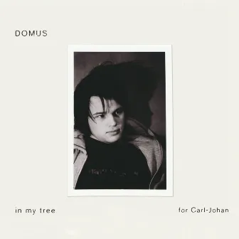 In My Tree (for Carl-Johan) by Domus