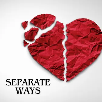 Separate Ways by Alexander Simone