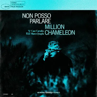 Non posso parlare by Million Chameleon