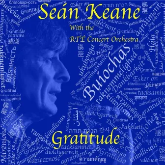 Gratitude by Seán Keane