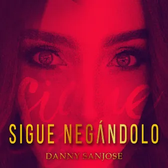 Sigue Negándolo by Danny Sanjose