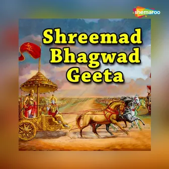 Shreemad Bhagwad Geeta by Rohan Kamat