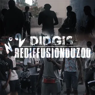 Rediffusion du zoo, n°2 by Didgis