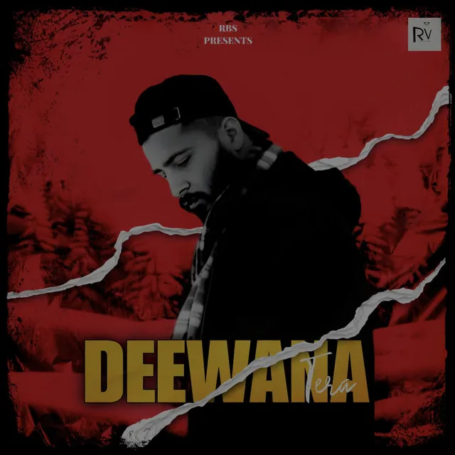 Deewana Tera