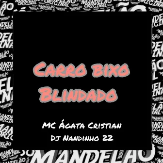 Carro Bixo Blindado by Dj Nandinho 22