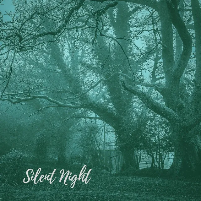 Silent Night