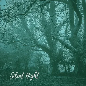 Silent Night by Chelsey Coy