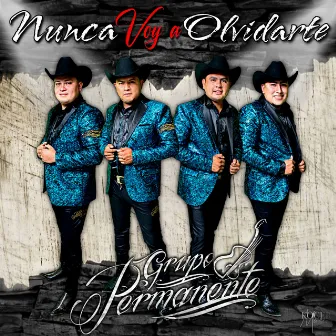 Nunca Voy A Olvidarte by Grupo Permanente