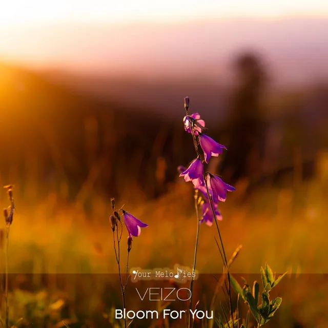 Bloom for You - Original Mix