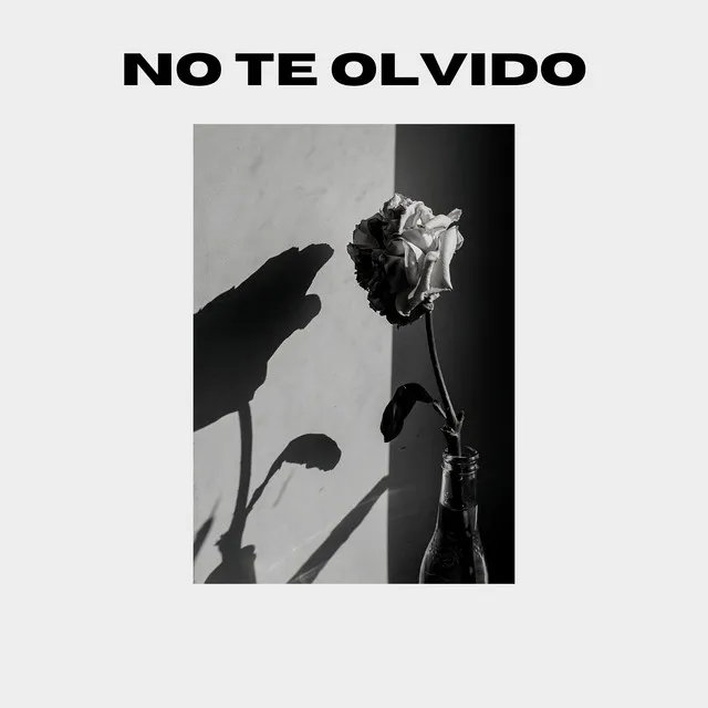 No Te Olvido