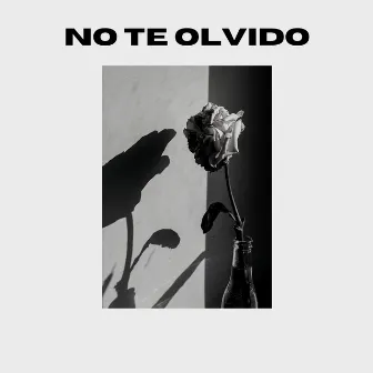 No Te Olvido by Pitagoras