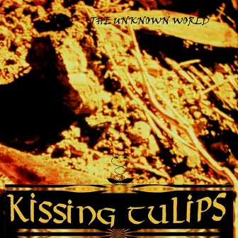 The Unknown World by Kissing Tulips