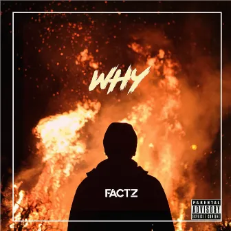 why by Factz