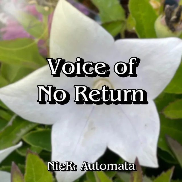 Voice of no Return (From 