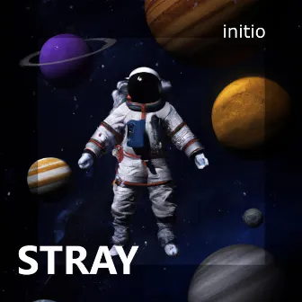 Stray by initio