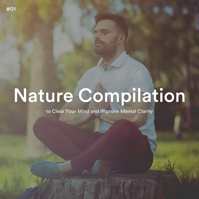 Nature Compilation to Clear Your Mind and Improve Mental Clarity, Pt. 22