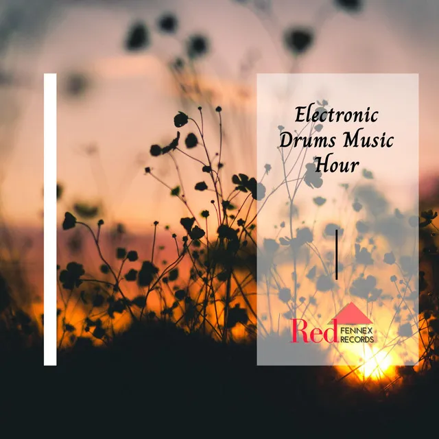 Electronic Drums Music Hour