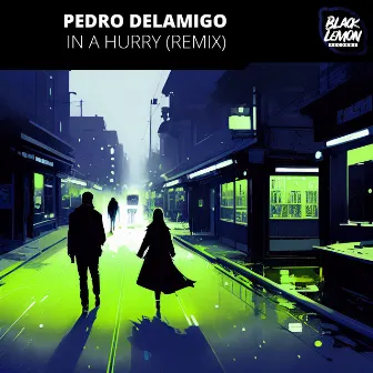 In a Hurry (Remix) by Pedro Delamigo