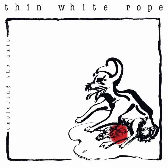 Exploring the Axis by Thin White Rope