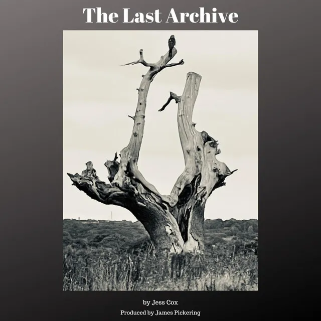 The Last Archive