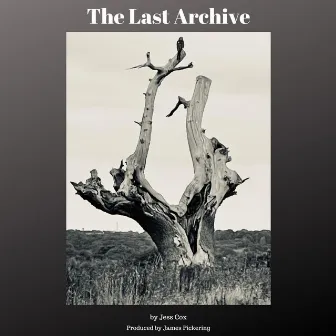 The Last Archive by Jess Cox