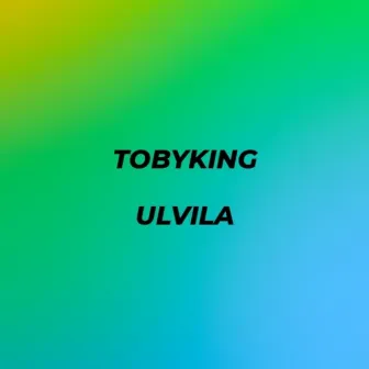 Ulvila by Tobyking