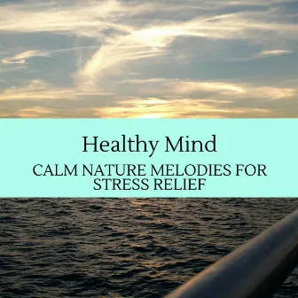 Healthy Mind - Calm Nature Melodies for Stress Relief by Rainbow Wave Sounds Library