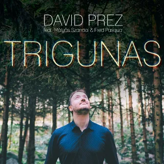 Trigunas by David Prez