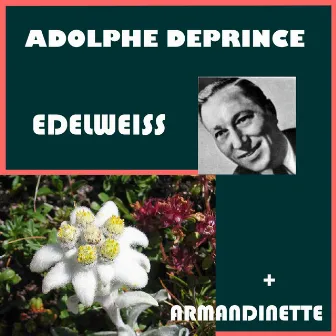 Edelweiss by Adolphe Deprince