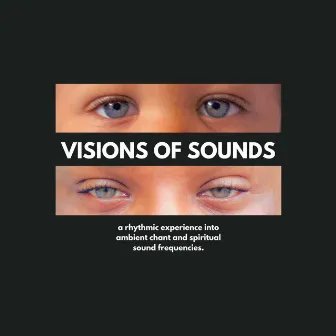 Visions Of Sounds by Chris Redding