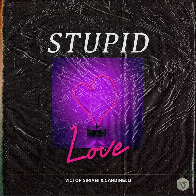 Stupid Love