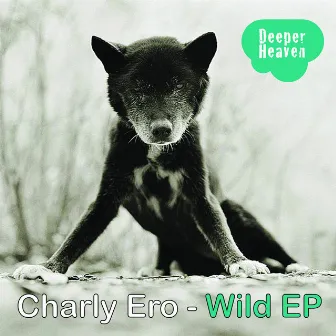 Wild EP by Charly Ero