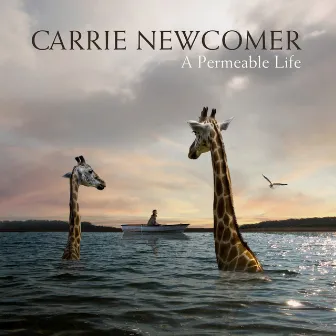 A Permeable Life by Carrie Newcomer