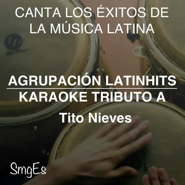 Instrumental Karaoke Series: Tito Nieves