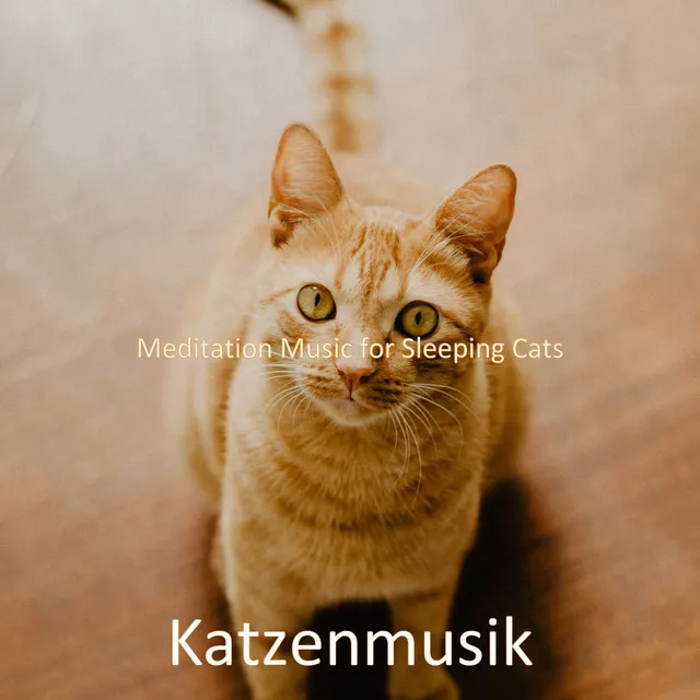 Meditation Music for Sleeping Cats