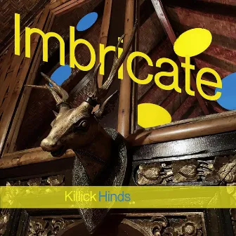 Imbricate by Killick Hinds