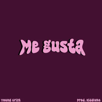 Me Gusta by Young Crizt