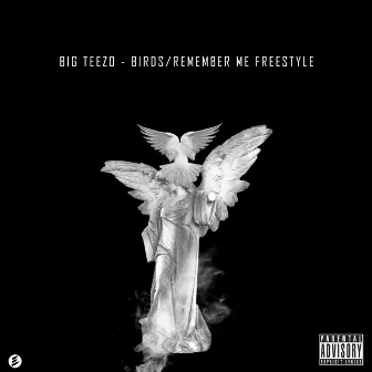 Birds/Remember Me by Big Teezo